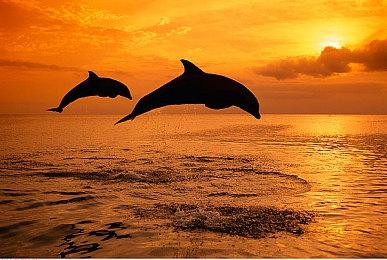 《不朽者传奇》将升级到虚幻5.2 新作将采用虚幻5.3